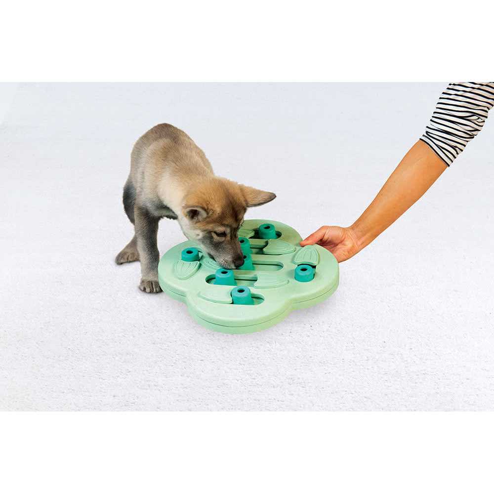 Interactive Treat Puzzle Dog Toy I8789