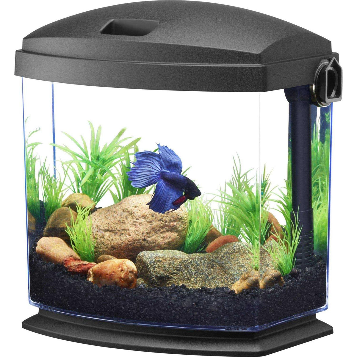 Black Aquarium Kit S12022
