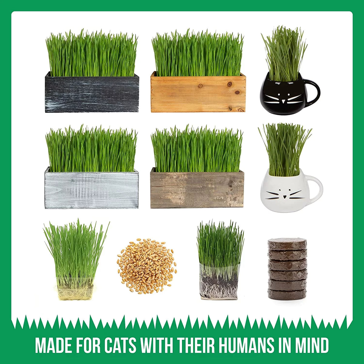 Organic Cat Grass Kit with Seed Mix and Soil P394905