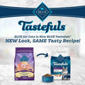 Blue Healthy Aging Mature Cat Dry Food T298