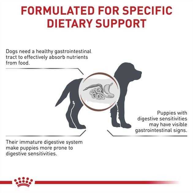 Canned Dog Food U30870