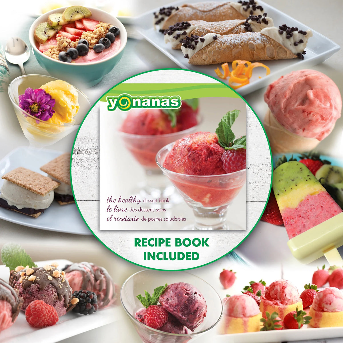 Red Frozen Fruit Dessert Maker with Recipe Book I11299