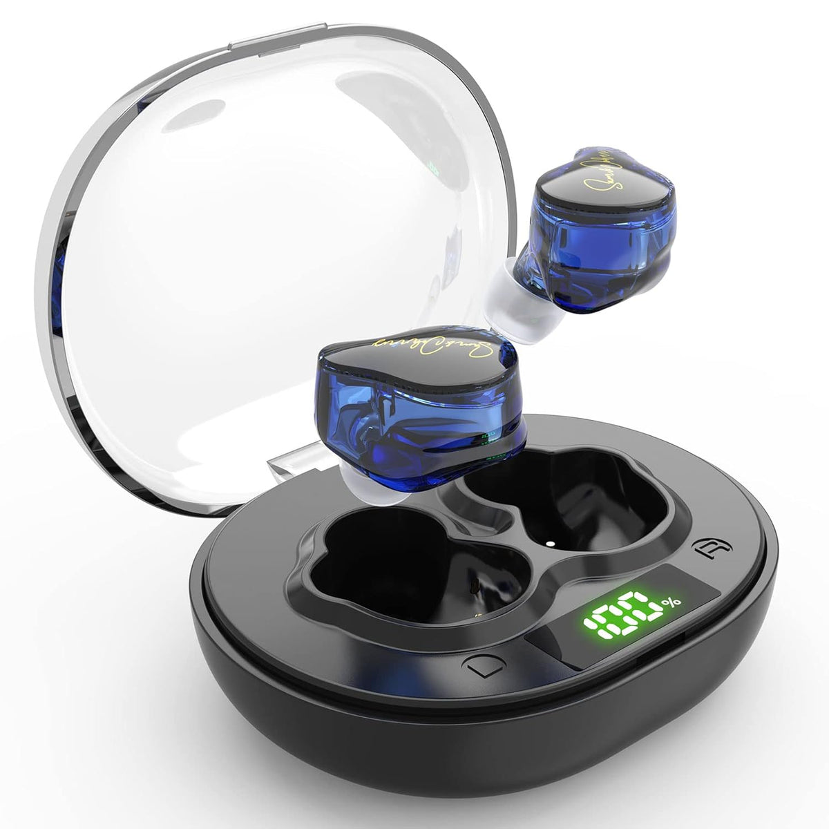 Rechargeable Digital Hearing Aids (BLUE) F526053