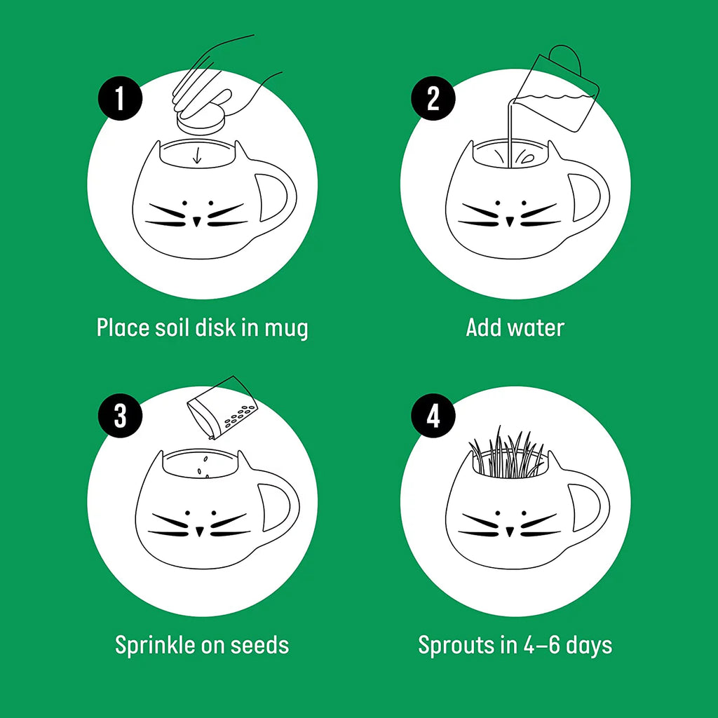 Organic Cat Grass Kit with Seed Mix and Soil P394905