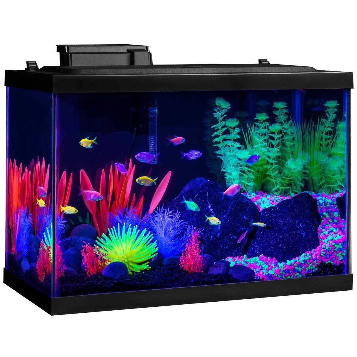 20 Gallon Aquarium Kit with LED Lights Heater and Filter K895