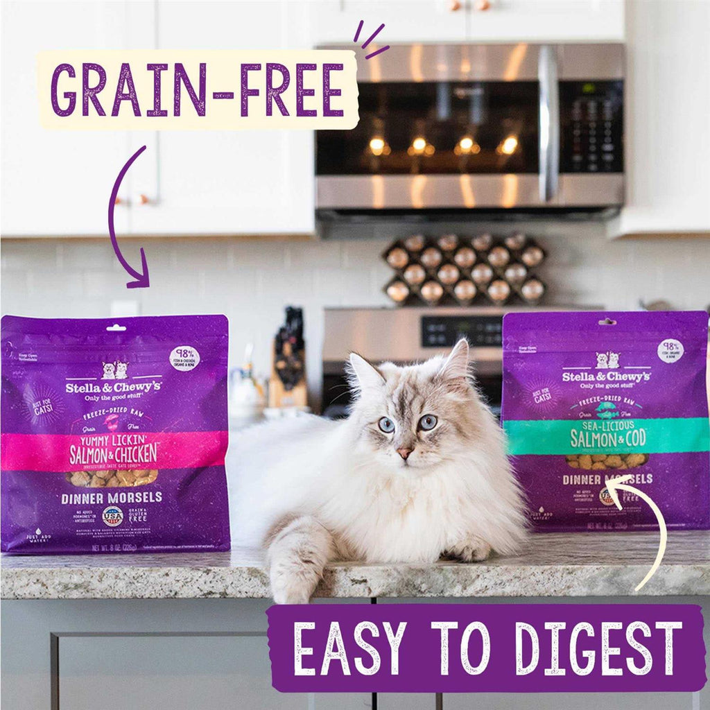 Salmon Chicken Freeze-Dried Cat Food J975
