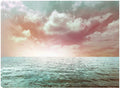 32x24 Canvas Art Z585629