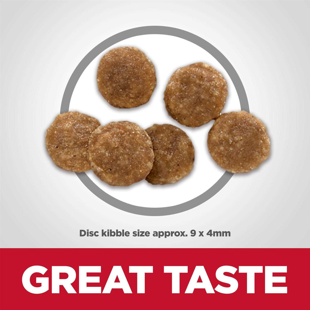 Chicken Dry Cat Food H30193