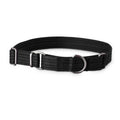 Martingale Dog Collar V402
