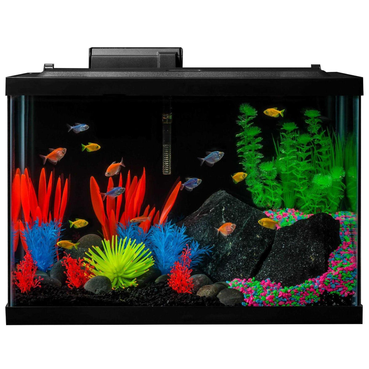 20 Gallon Aquarium Kit with LED Lights Heater and Filter K895