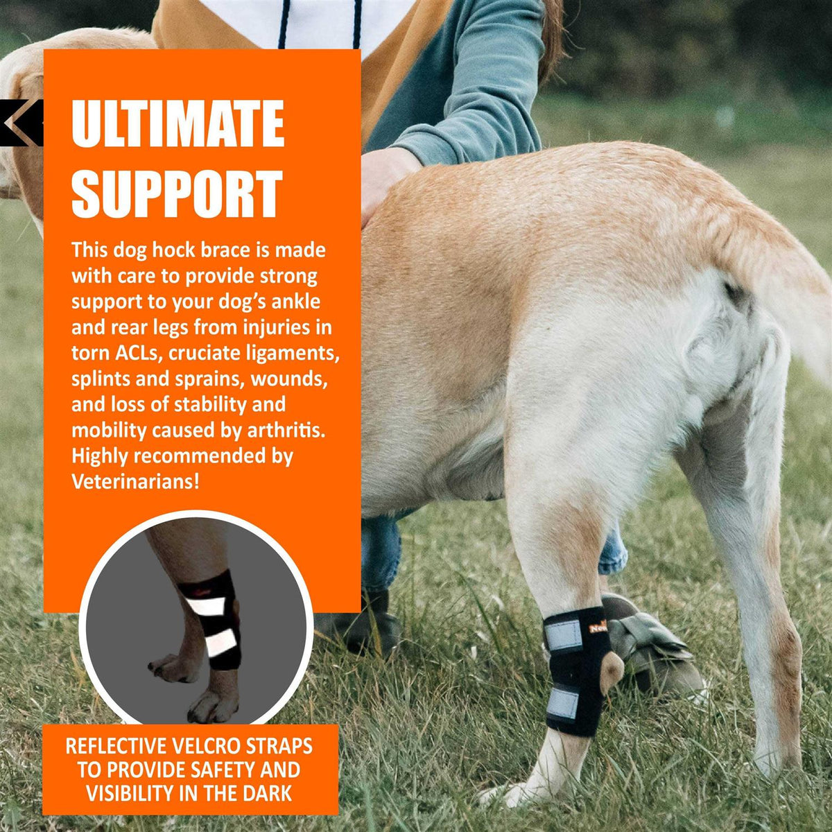 Dog Rear Leg Hock Ankle Support with Reflective Straps X50526