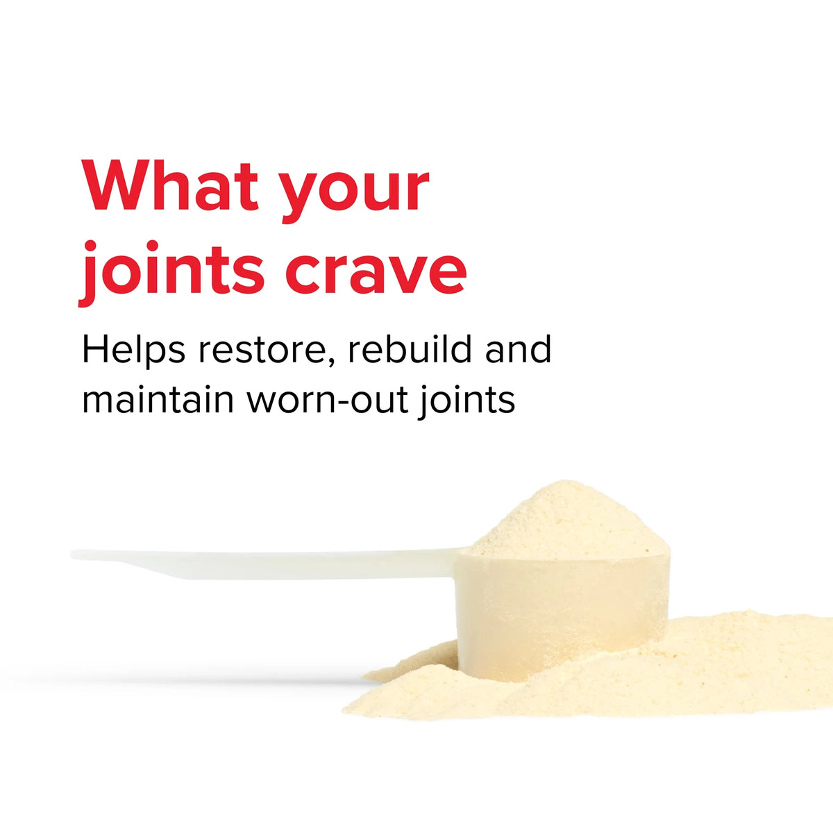Orange Pineapple 13.7 oz Joint Supplement D9642