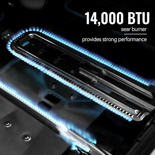 5 Burner Propane Gas Grill with Side Burner and Sear Burner, Porcelain-Enameled Cast Iron Grates E838