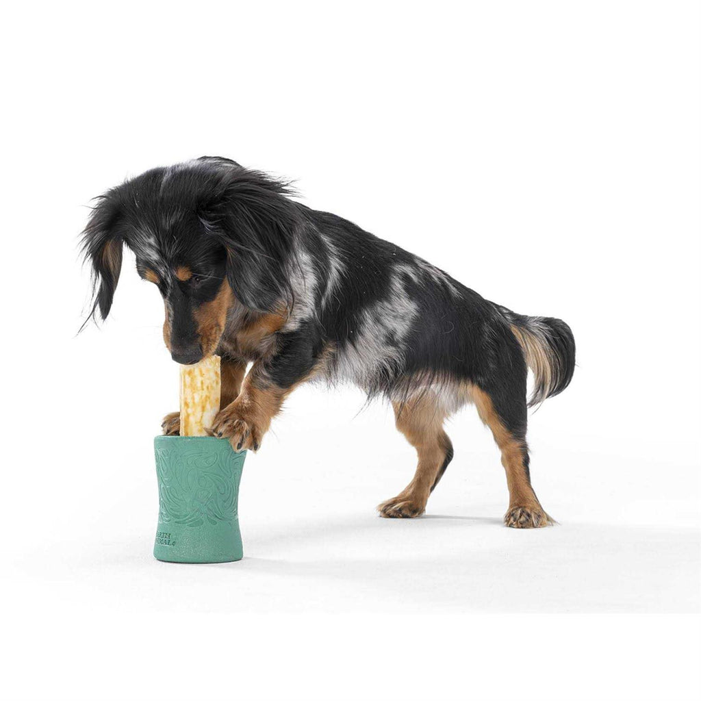 Dog Toy E562499