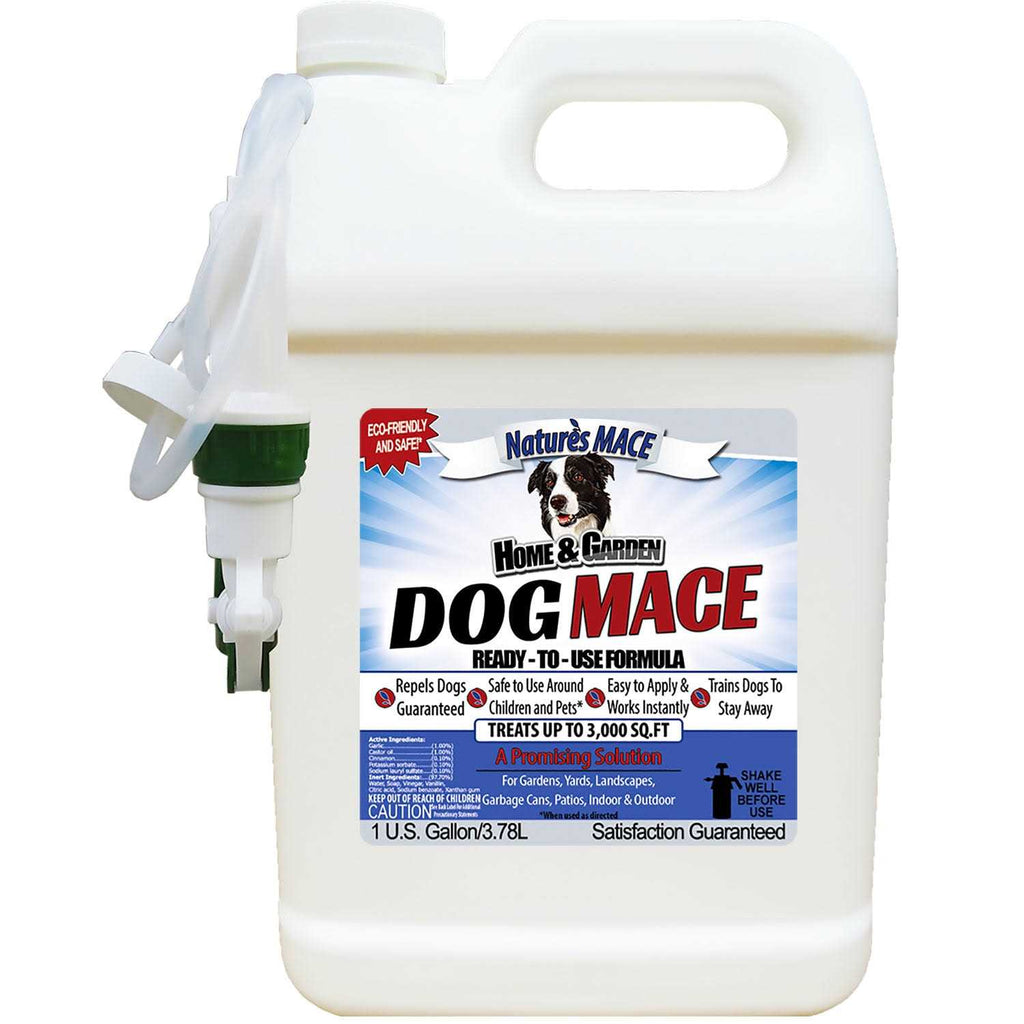 Dog Repellent and Training Tool Y54821
