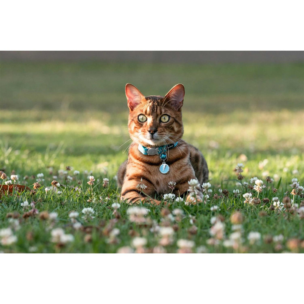 Enamel Pet ID Tag I237
