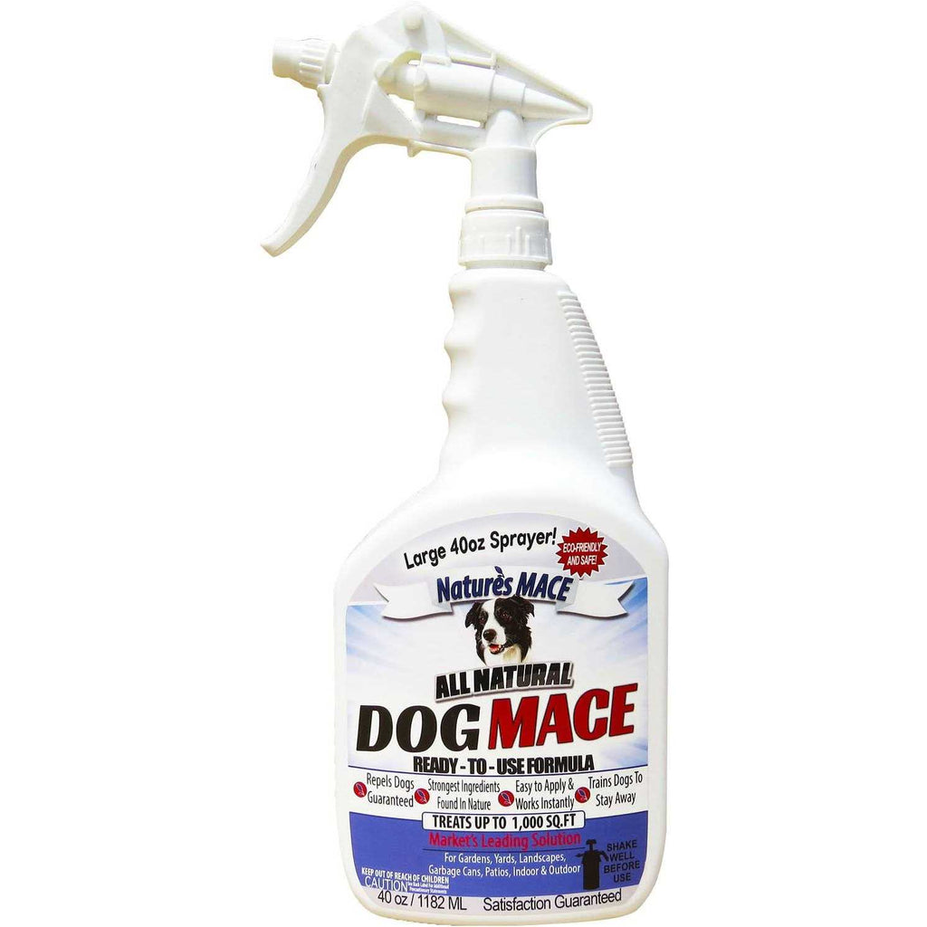 Dog Repellent and Training Tool Y54821