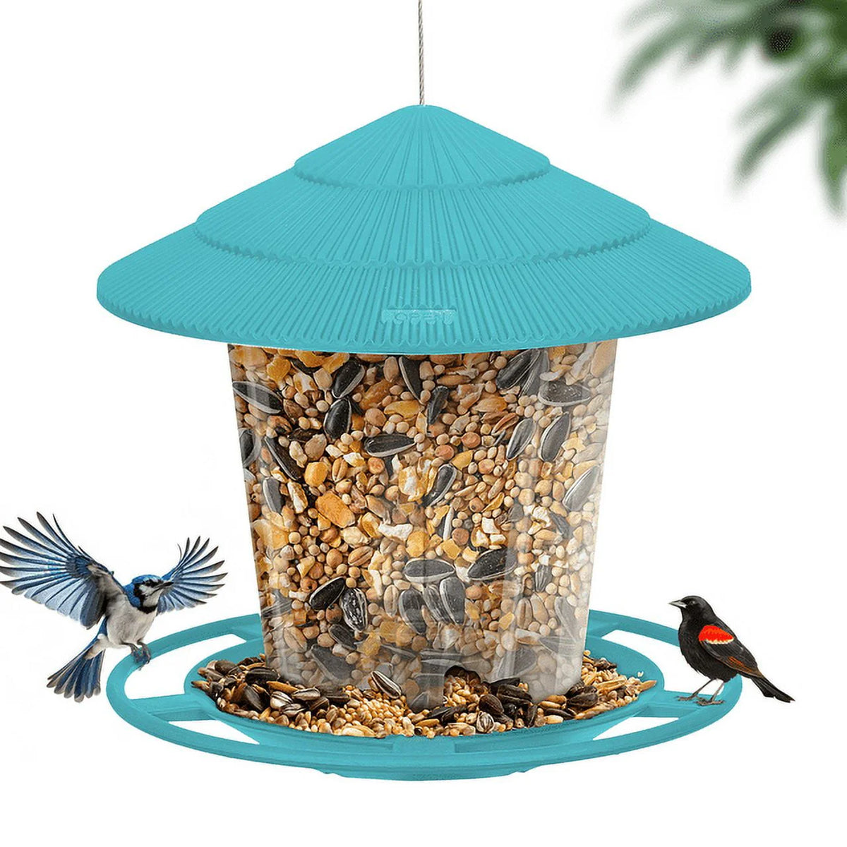 Squirrel Proof Blue Plastic Bird Feeders G348977
