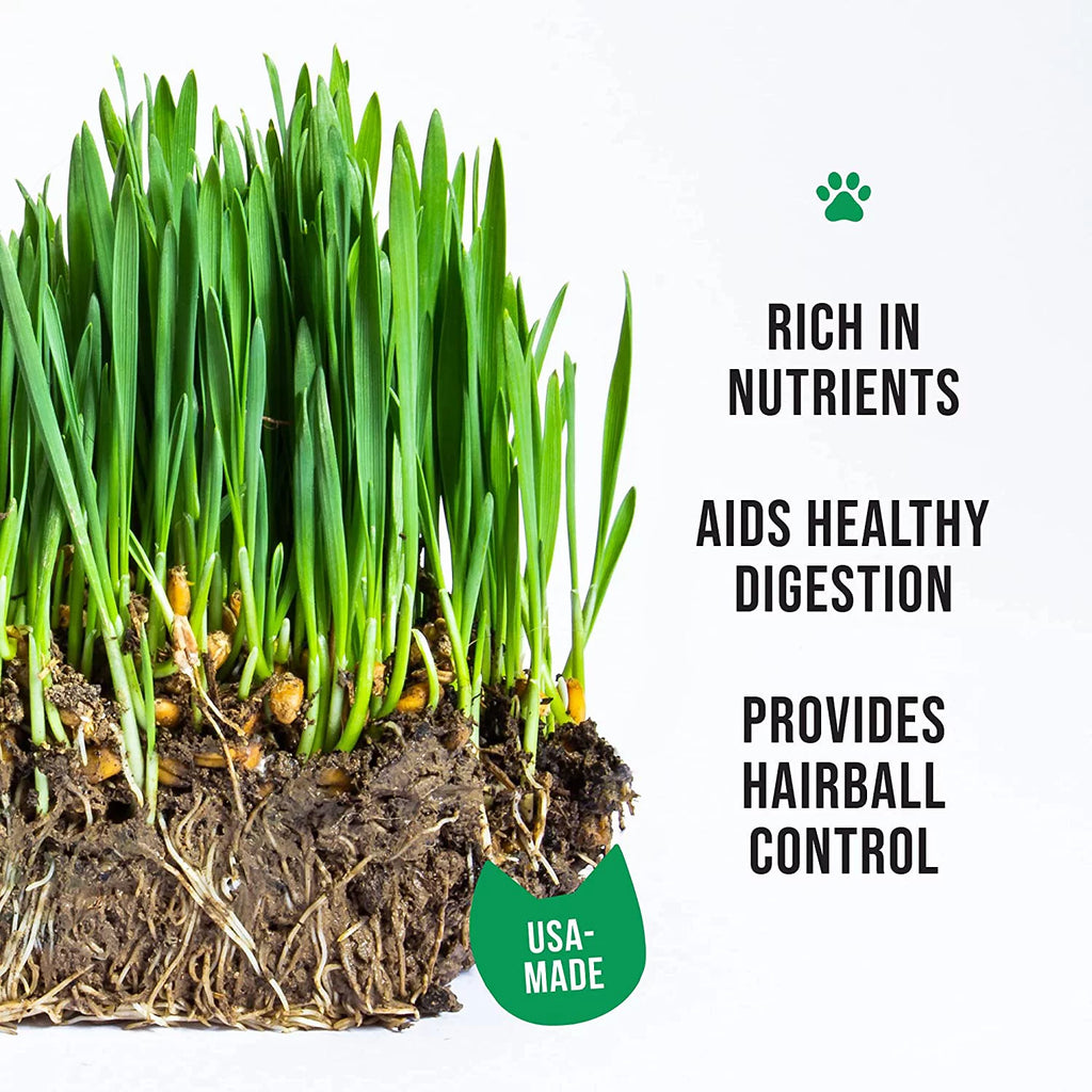 Organic Cat Grass Kit with Seed Mix and Soil P394905