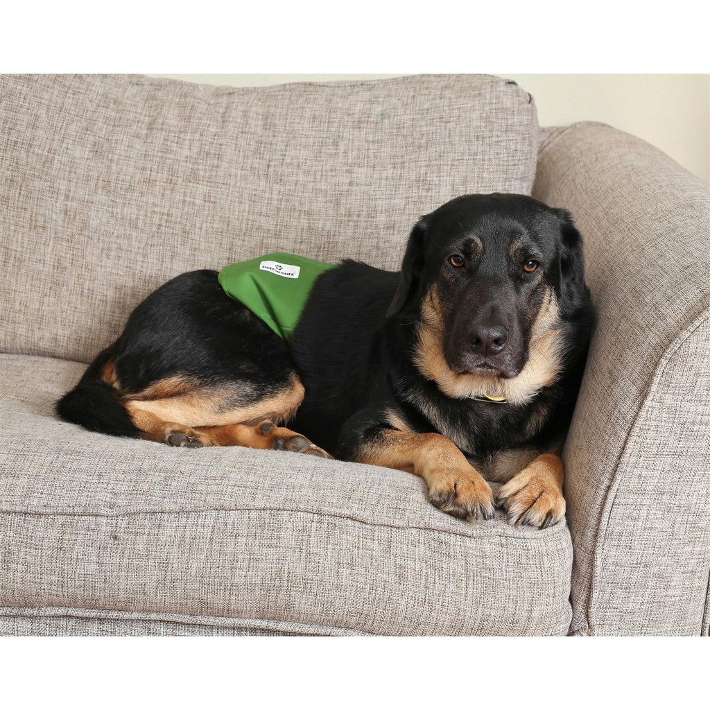 Washable Dog Belly Bands A1216