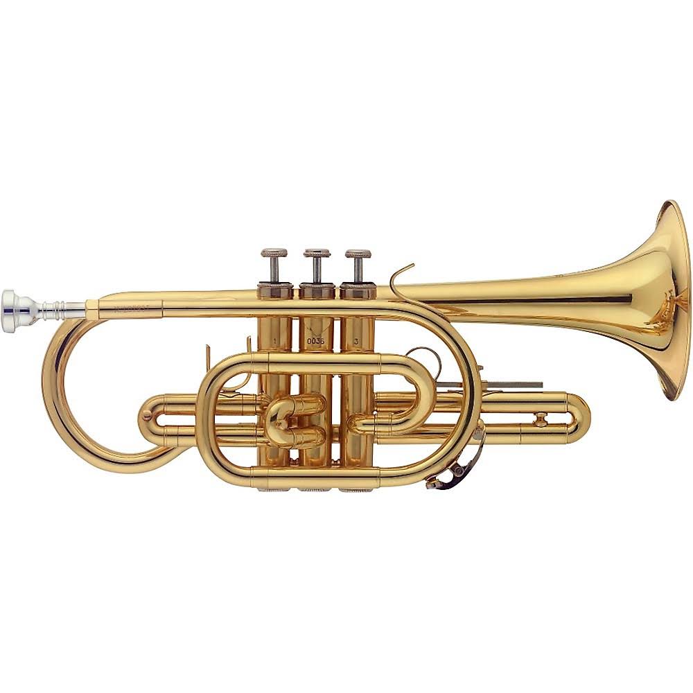 Bb Cornet with Case F44335