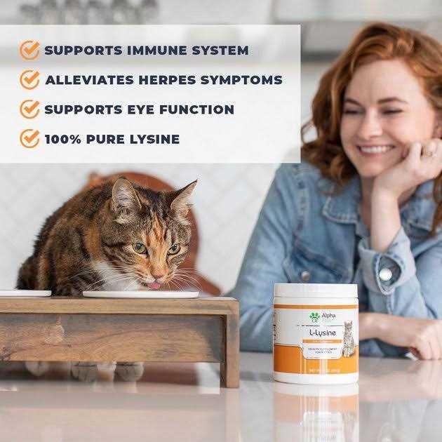 Cat Lysine Supplement N371849