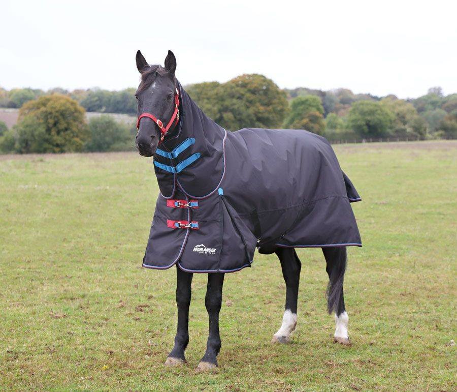 Black Turnout J41581