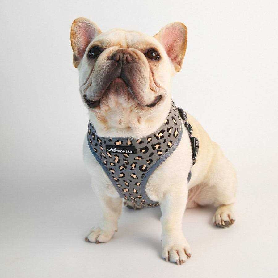 Reversible Dog Harness V93629