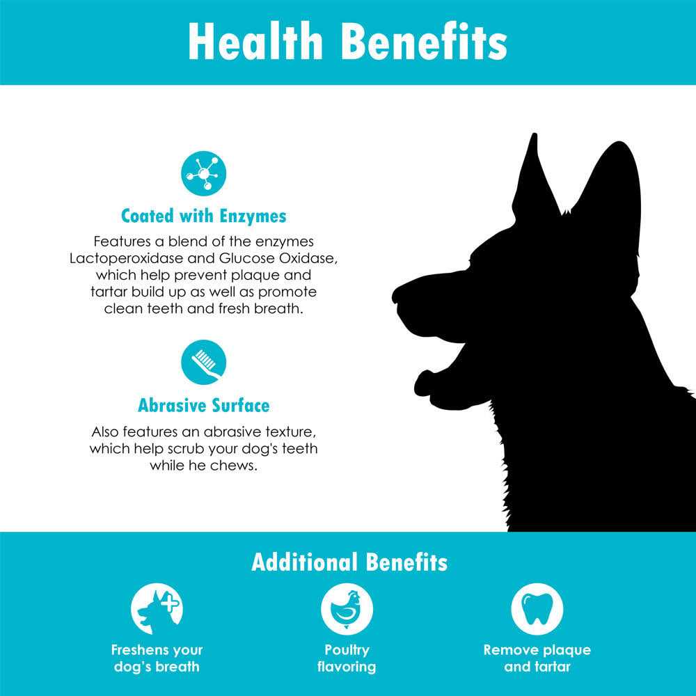 Oral Hygiene Dental Dog Treats E500648
