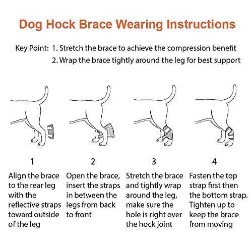 Dog Rear Leg Hock Ankle Support with Reflective Straps X50526