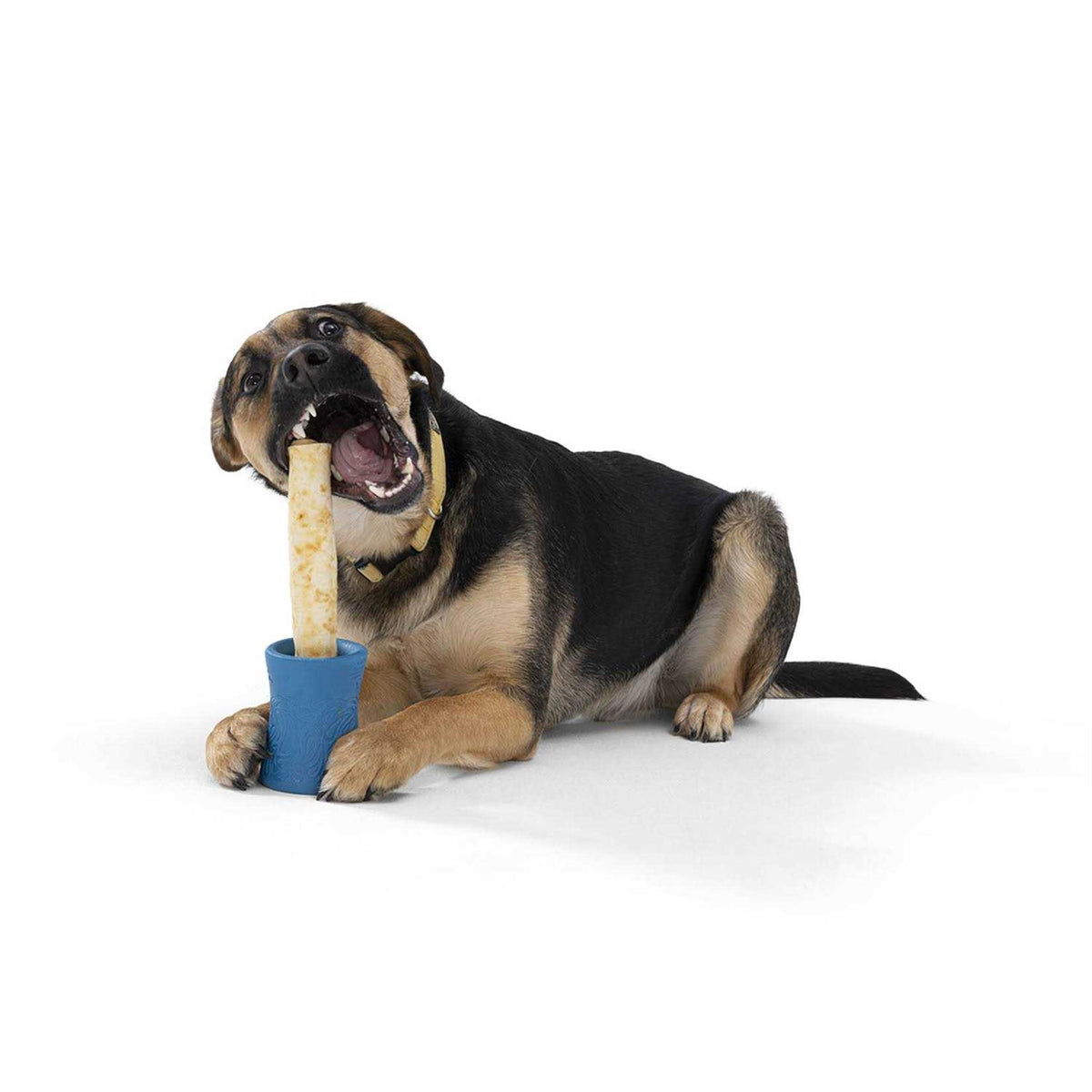 Dog Toy E562499