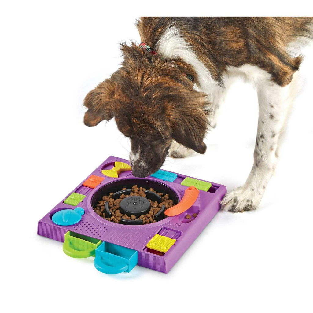 Puzzle Feeder Dog Toy C895
