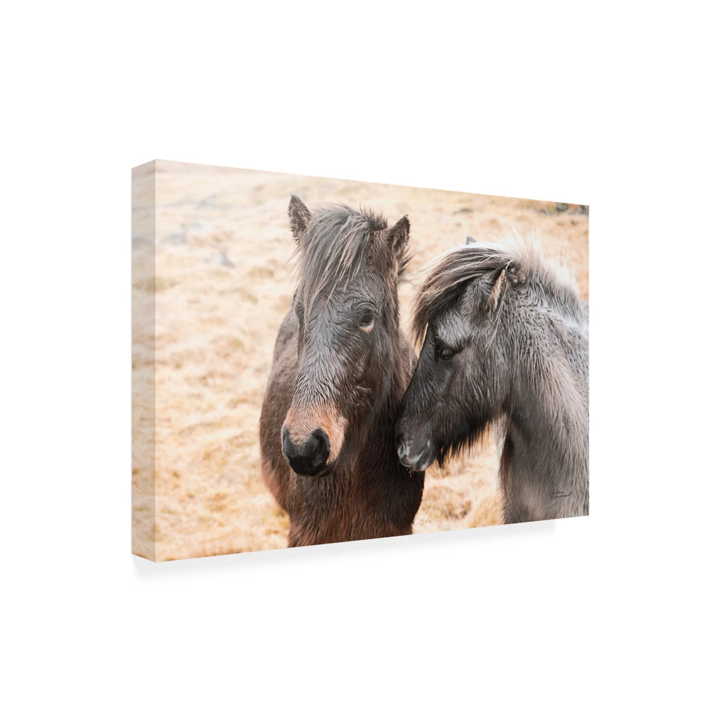 Canvas Art B2506
