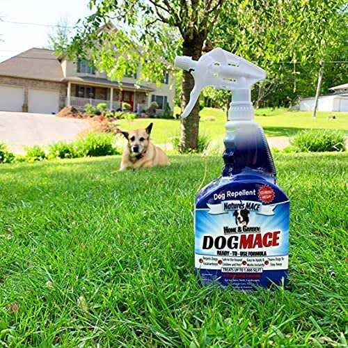 Dog Repellent and Training Tool Y54821