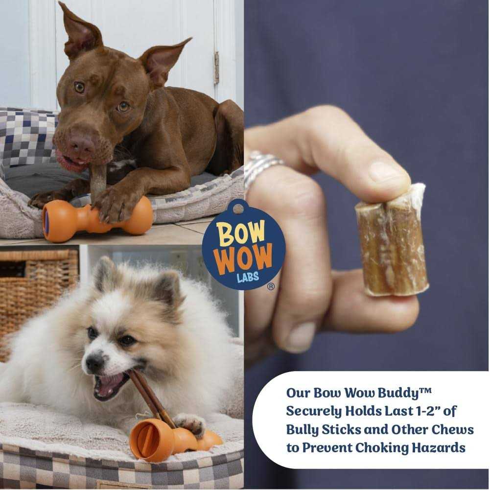 Bully Buddy Bully Stick Holder Starter Kit R7142