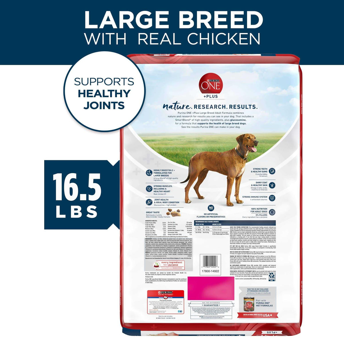 Large Breed Adult Dry Dog Food L95067