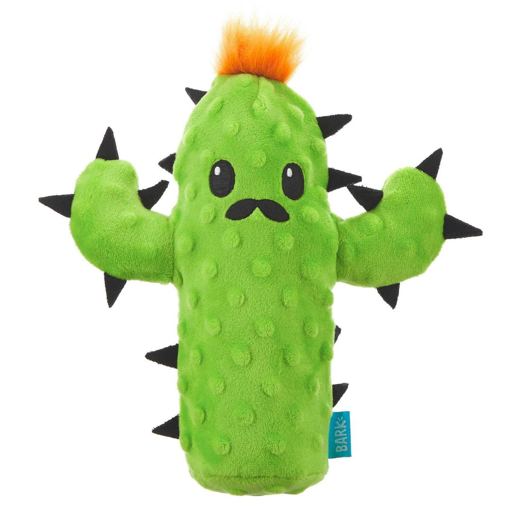 Dog Toy with Squeaker B3451