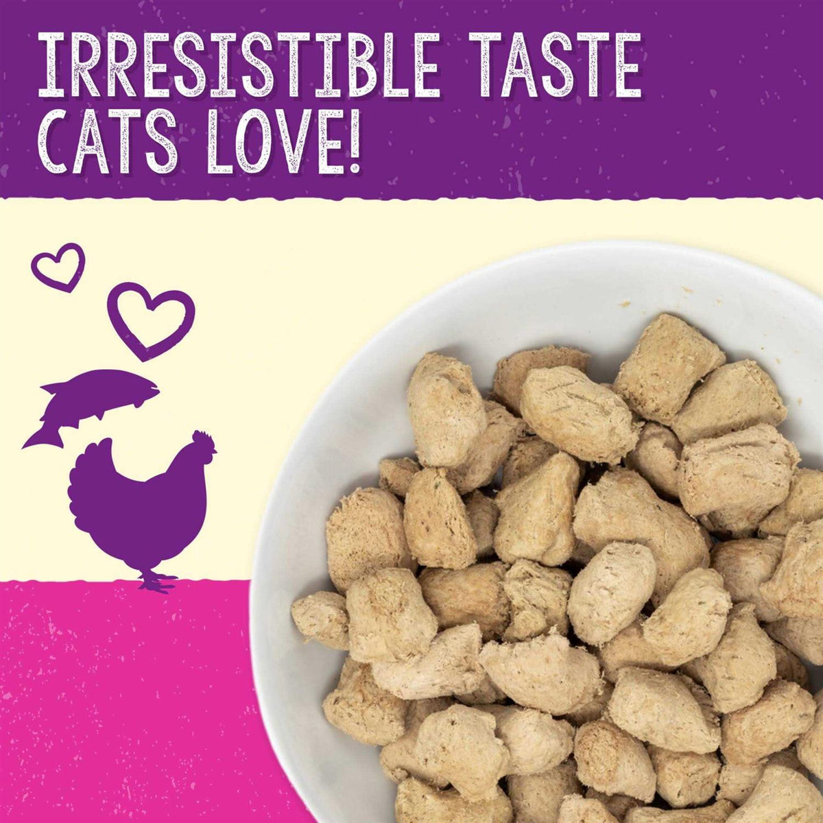 Salmon Chicken Freeze-Dried Cat Food J975