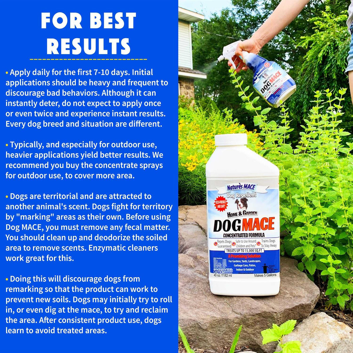Dog Repellent and Training Tool Y54821