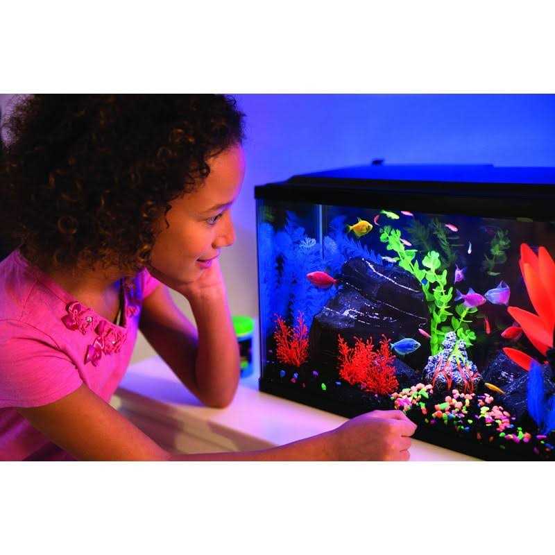 20 Gallon Aquarium Kit with LED Lights Heater and Filter K895