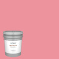 Satin Exterior Paint (5-Gallon) D153108