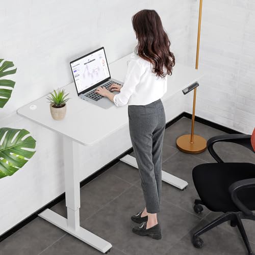55'' x 24'' Electric Adjustable Height Sit Stand Desk with Charging Station (Oak) T5416