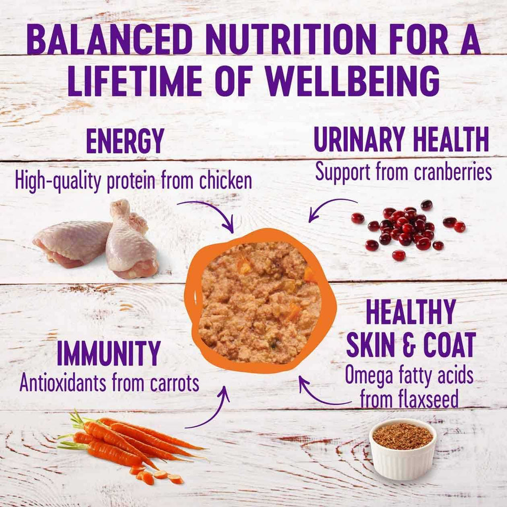 Wellness Complete Health Pâté S35990
