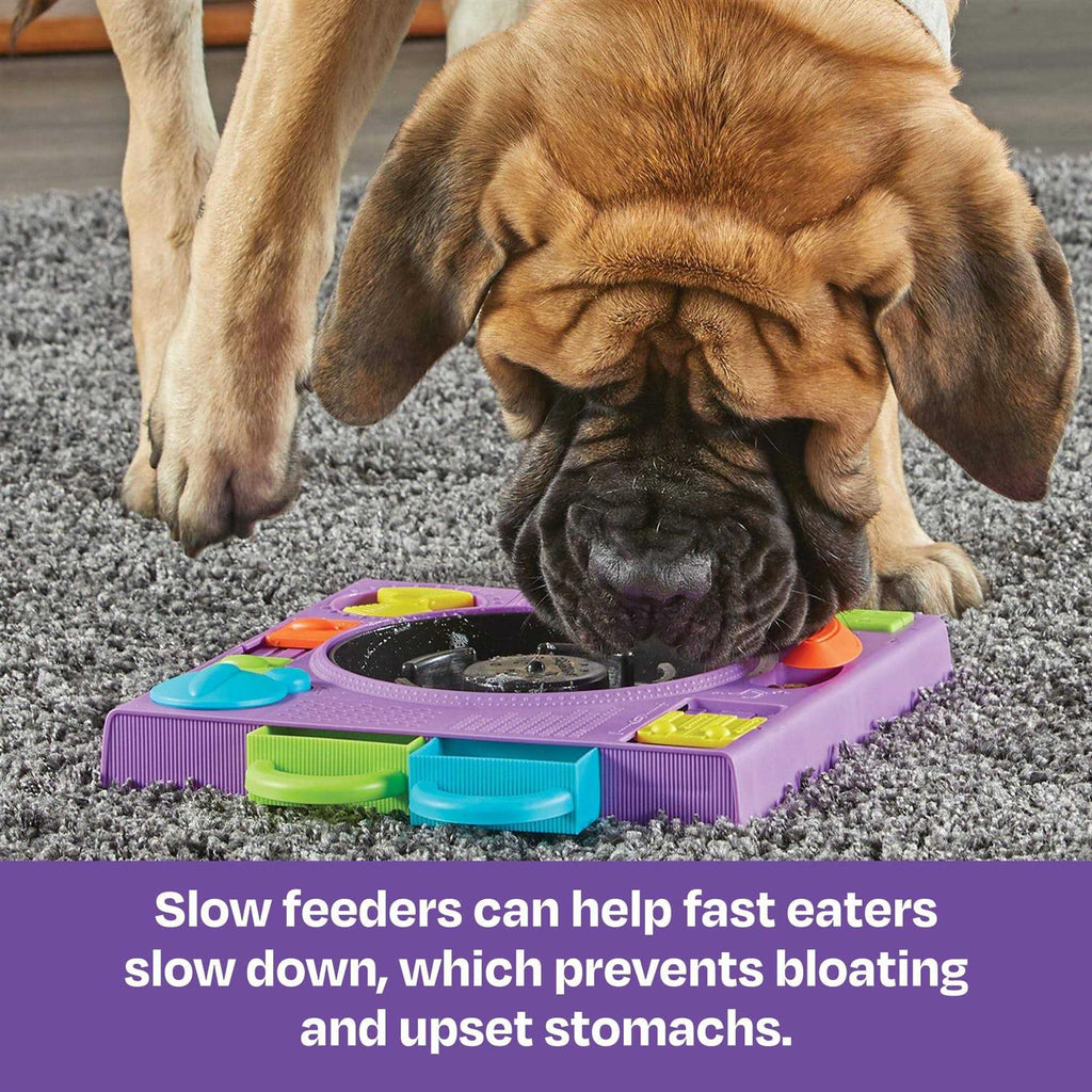 Puzzle Feeder Dog Toy C895