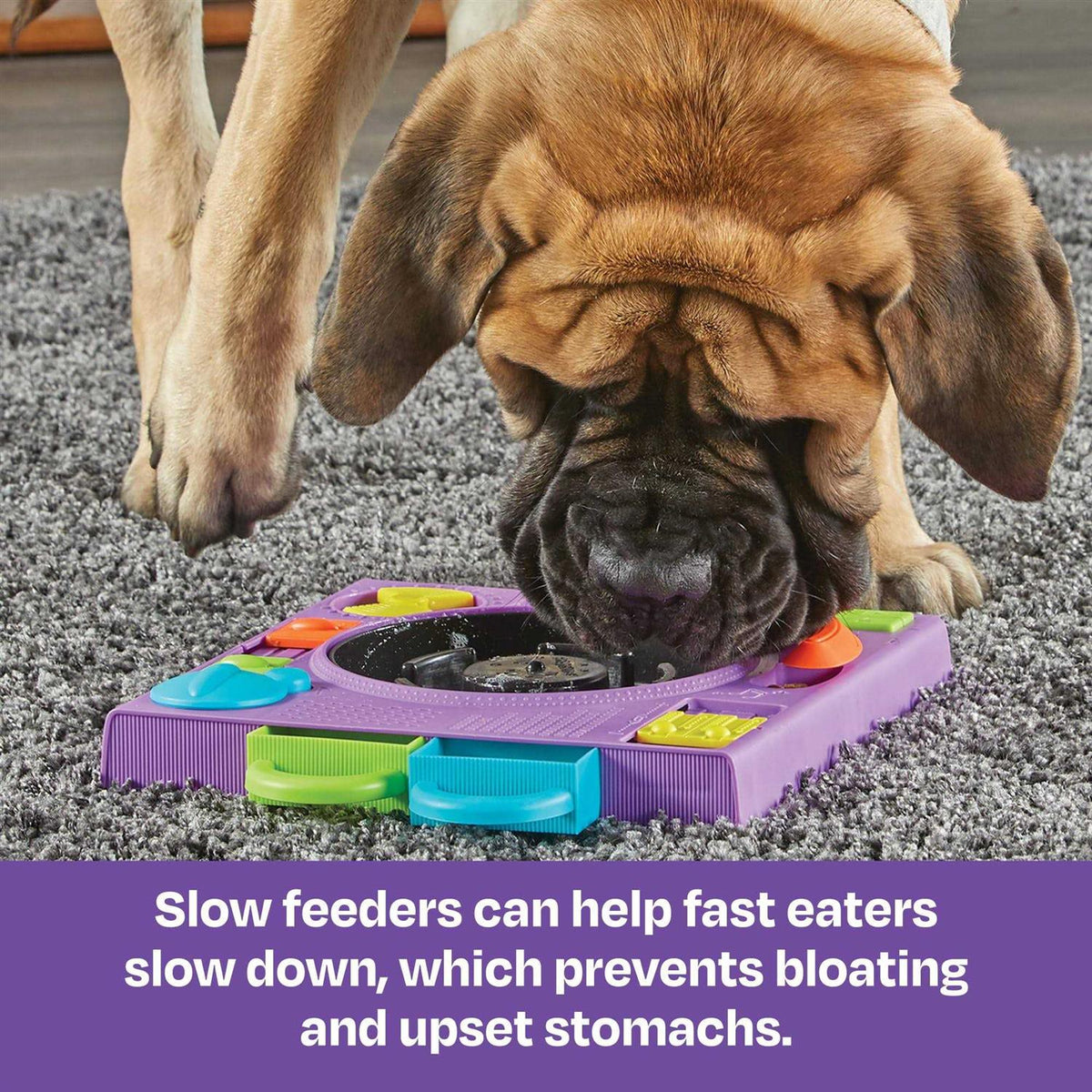 Puzzle Feeder Dog Toy C895
