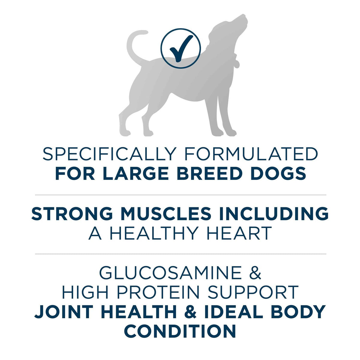 Large Breed Adult Dry Dog Food L95067