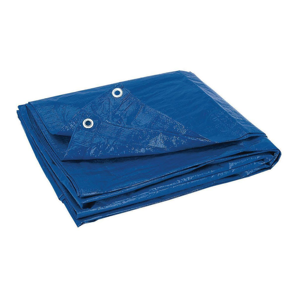 Blue All-Purpose Weather-Resistant Tarp J887