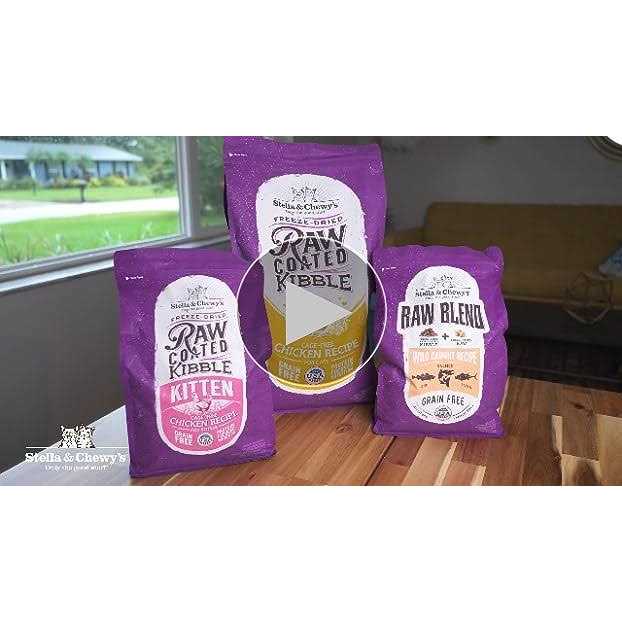 Salmon Chicken Freeze-Dried Cat Food J975