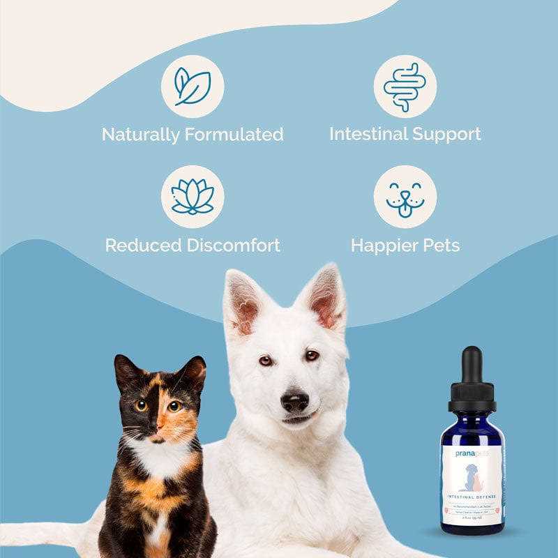 Herbal Dewormer for Dogs E41468