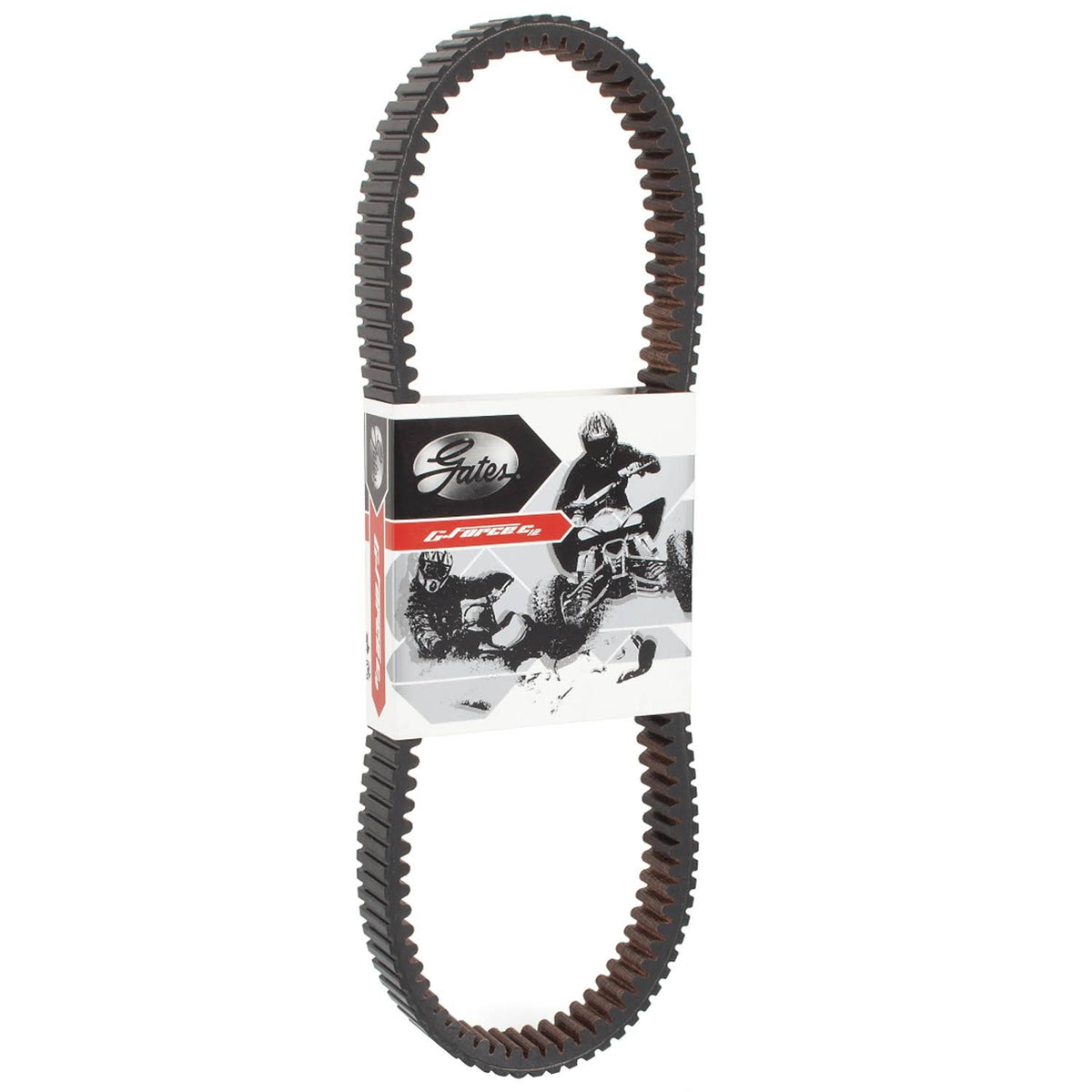 Carbon Cord CVT Belt W250